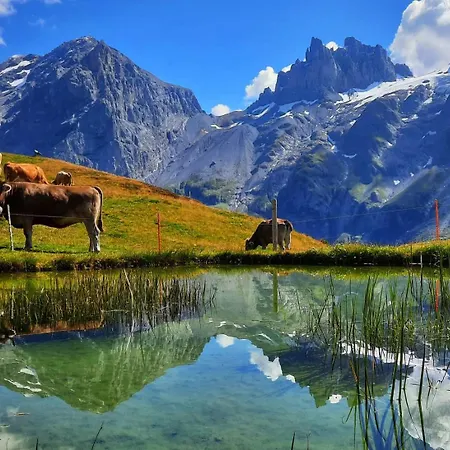 St. Josefshaus * エンゲルベルク