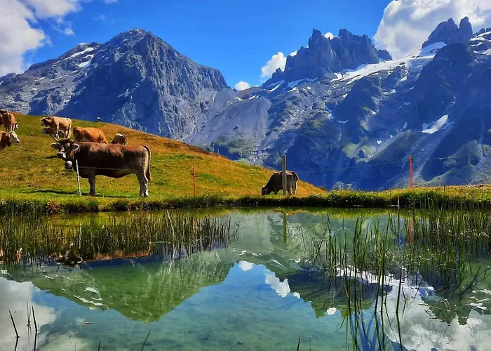 St. Josefshaus * Engelberg